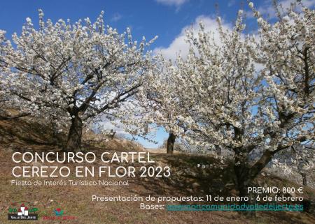 Imagen Bases Concurso cartel Cerezo en Flor 2023